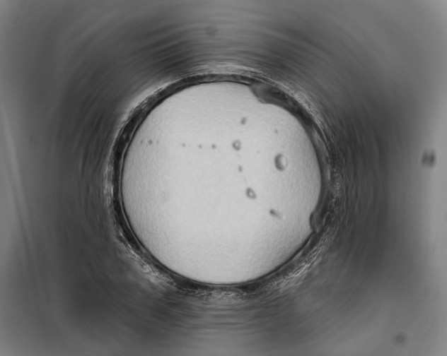 X0000099540979200806061450