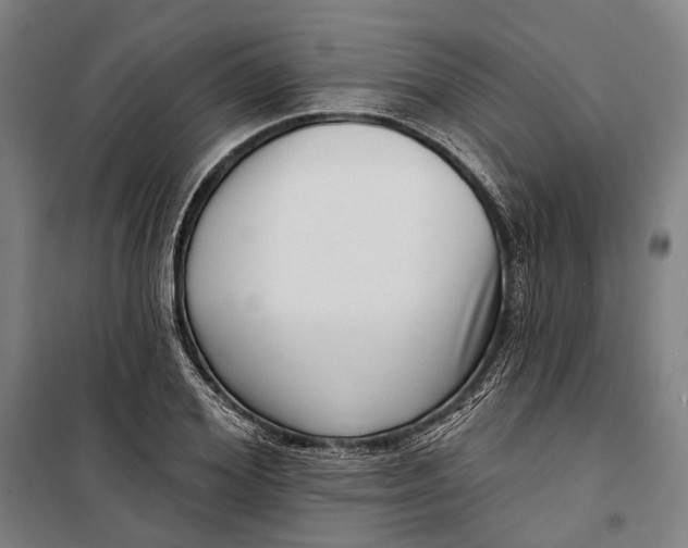 X0000099540980200806061450