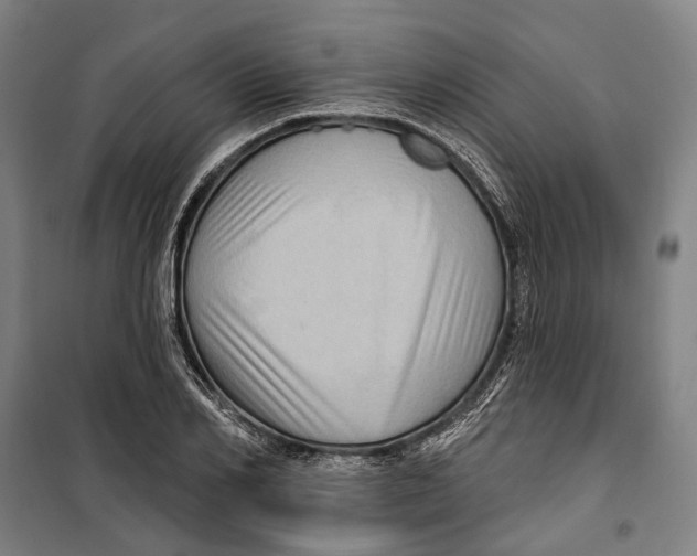 X0000099540982200806061450