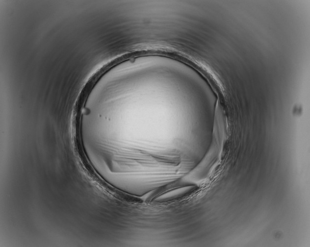 X0000099540983200806061450