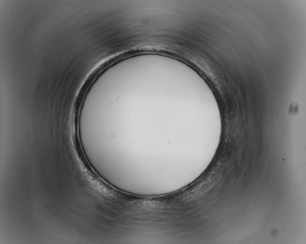 X0000099540984200806061450