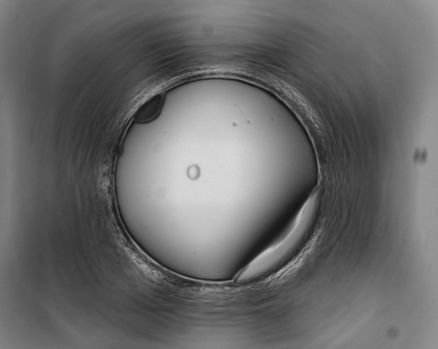 X0000099540985200806061450