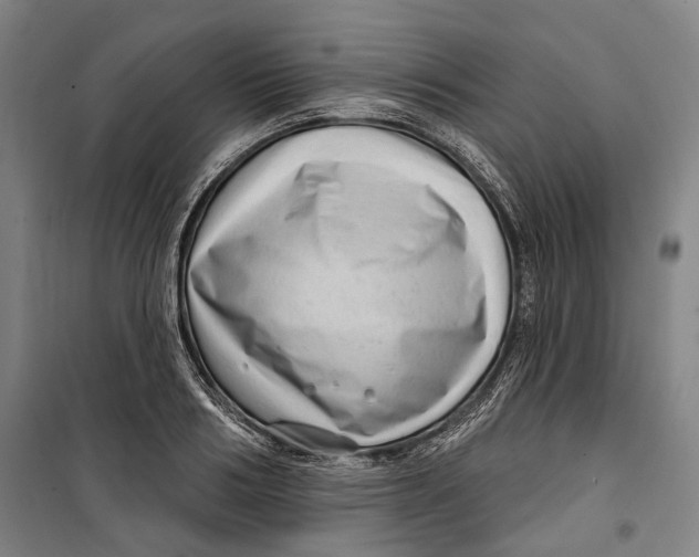 X0000099540986200806061450