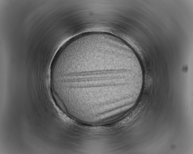 X0000099540988200806061450