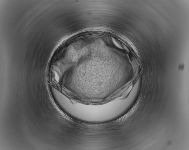 X0000099540989200806061450