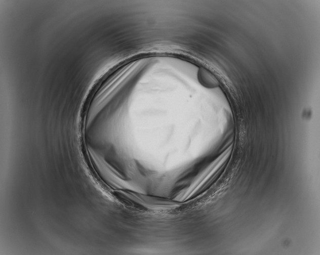 X0000099540990200806061450