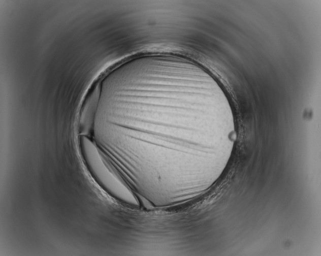 X0000099540992200806061450