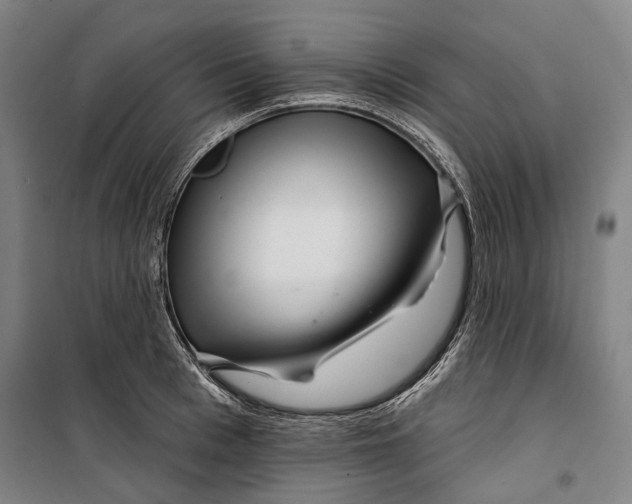 X0000099540993200806061450