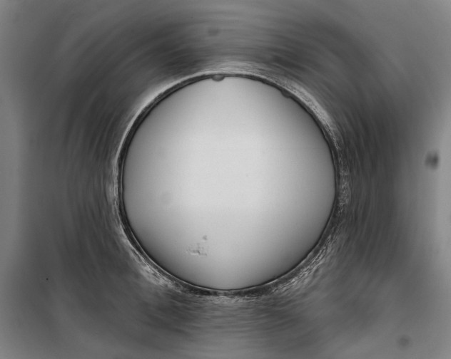 X0000099540996200806061450