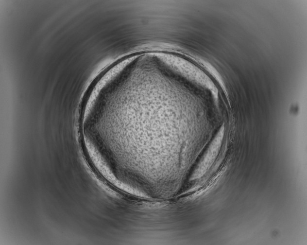 X0000099540997200806061450