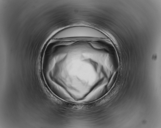 X0000099541000200806061450