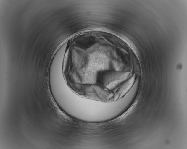 X0000099541001200806061450