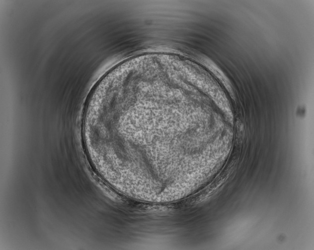 X0000099541002200806061450