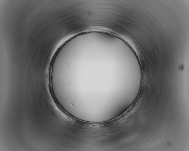 X0000099541003200806061450