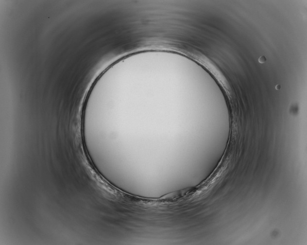 X0000099541004200806061450