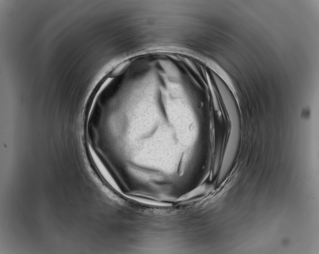 X0000099541005200806061450