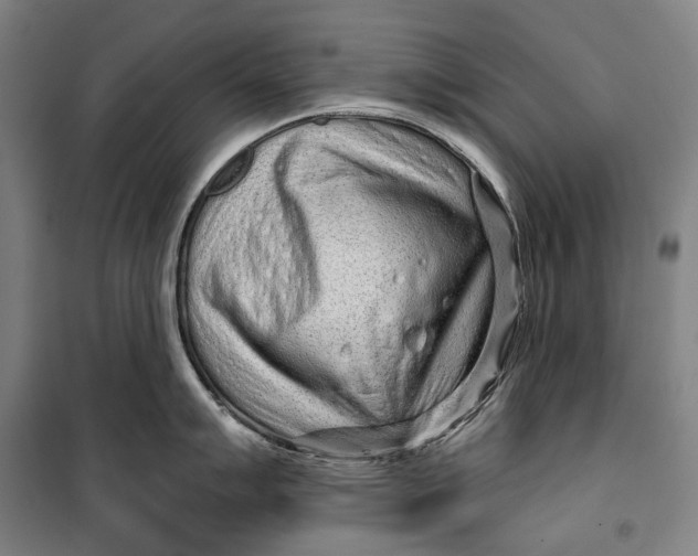 X0000099541007200806061450