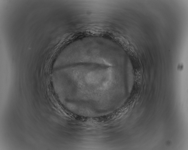 X0000099541009200806061449