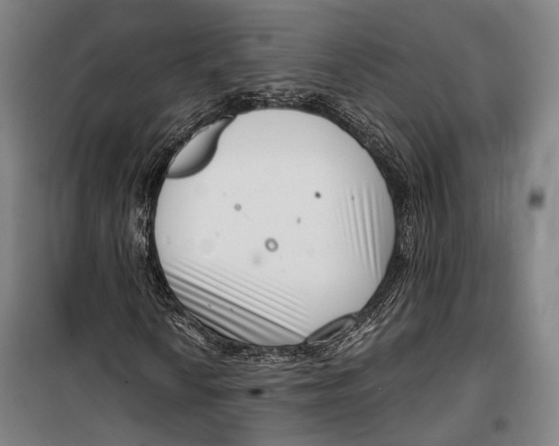 X0000099541010200806061449