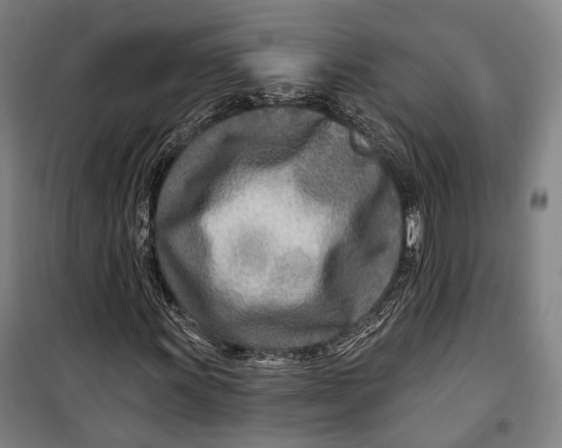 X0000099541011200806061449