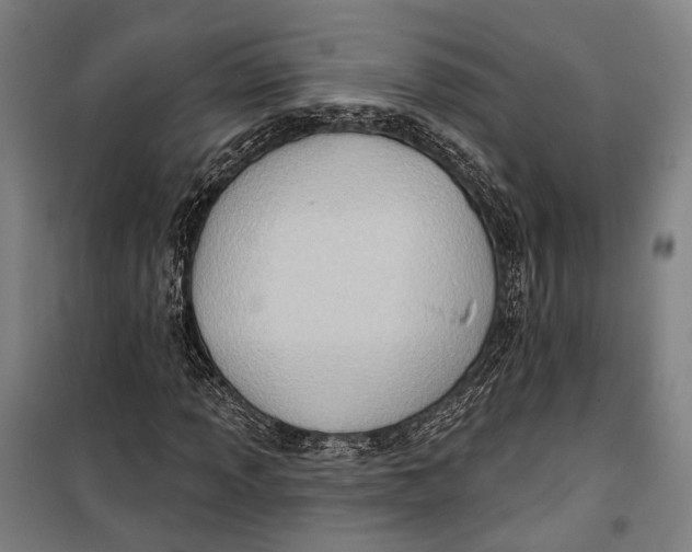 X0000099541013200806061449