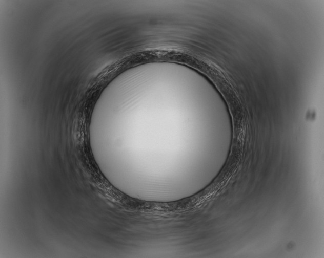 X0000099541014200806061449