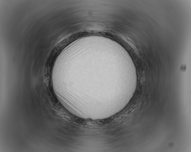 X0000099541015200806061449