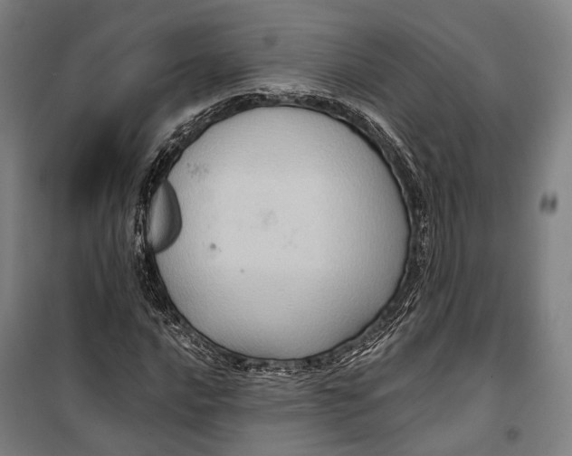 X0000099541016200806061449