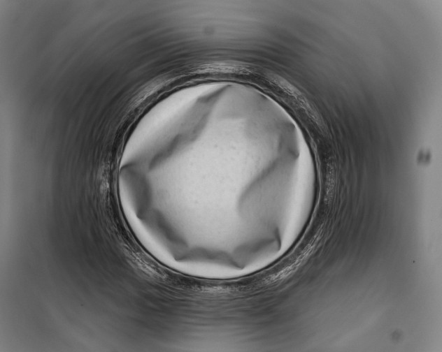 X0000099541017200806061450