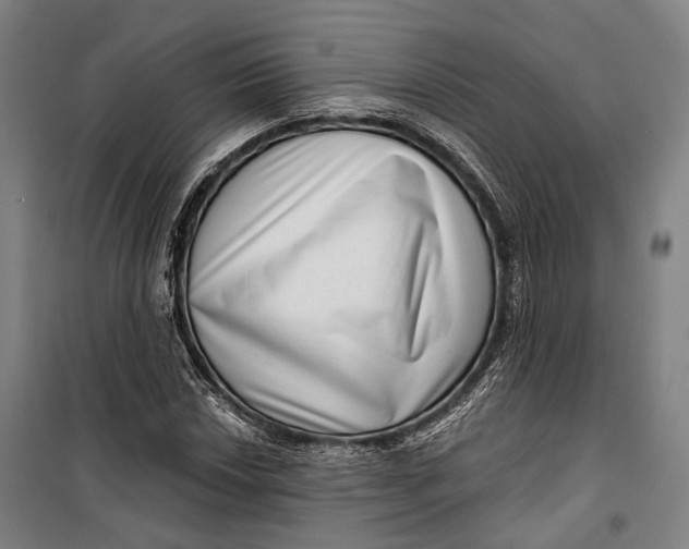 X0000099541018200806061450