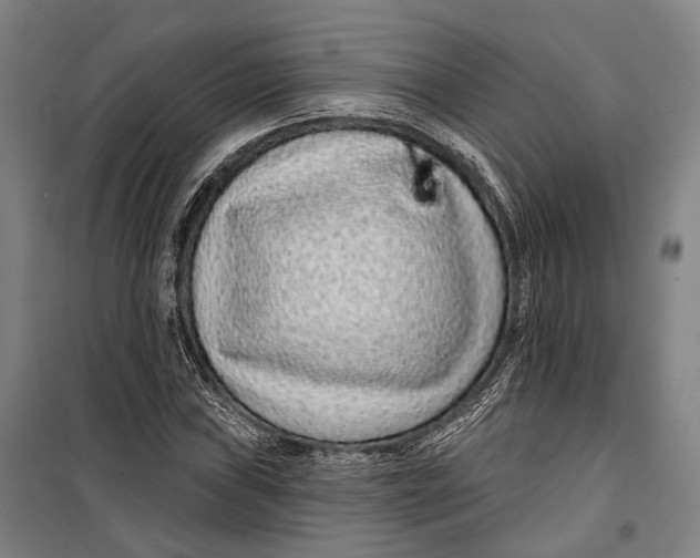 X0000099541019200806061450