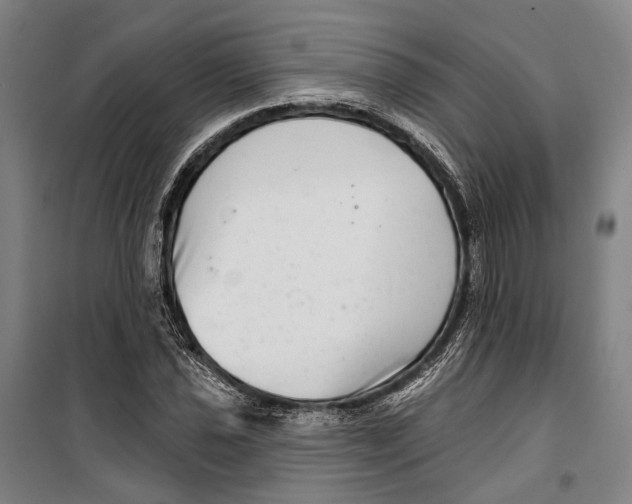 X0000099541021200806061450