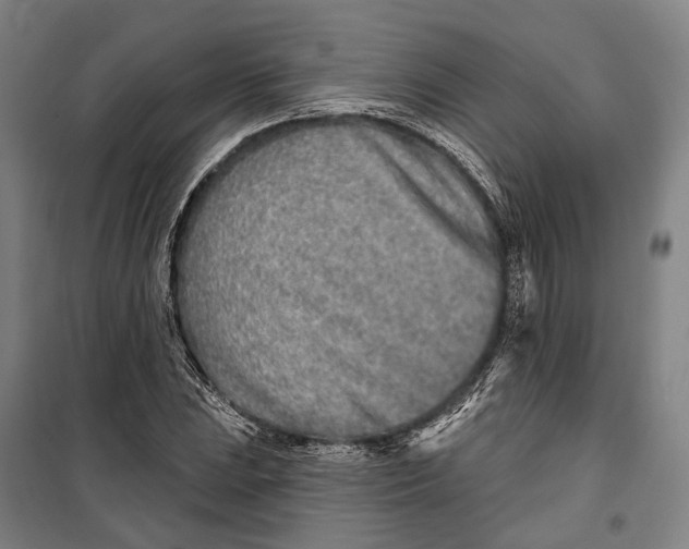 X0000099541023200806061450