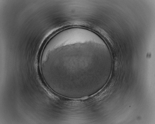 X0000099541024200806061450