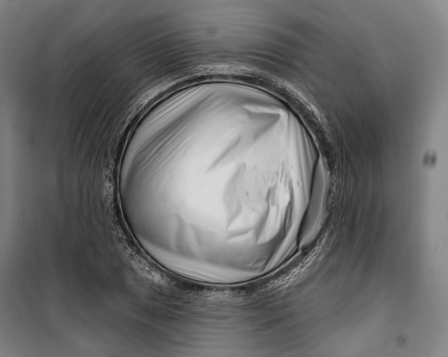 X0000099541025200806061450