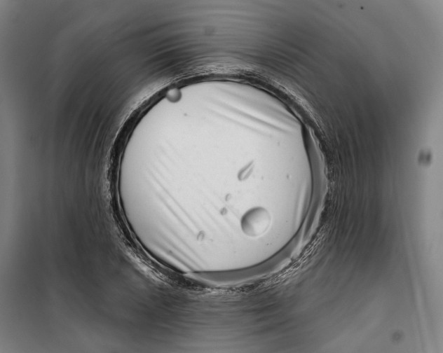 X0000099541026200806061450