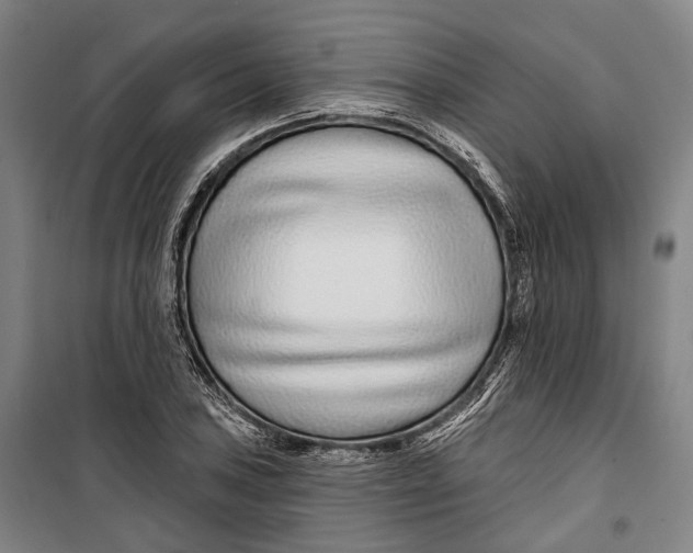 X0000099541027200806061450