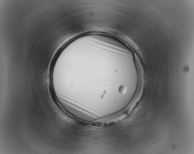 X0000099541028200806061450