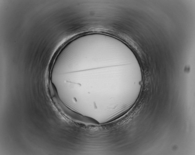 X0000099541032200806061450