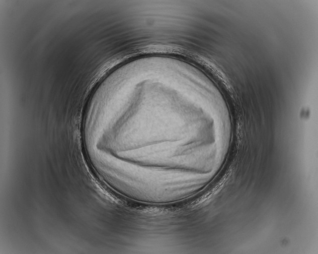 X0000099541033200806061450