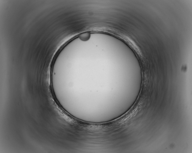 X0000099541036200806061450