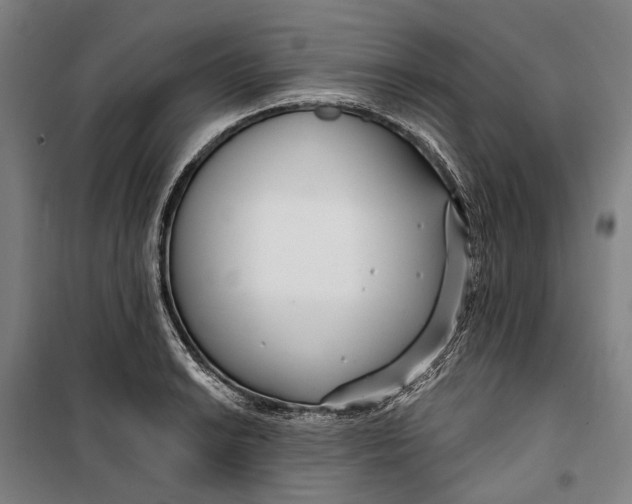 X0000099541038200806061450