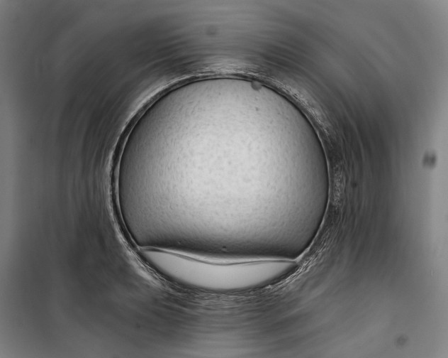 X0000099541039200806061450