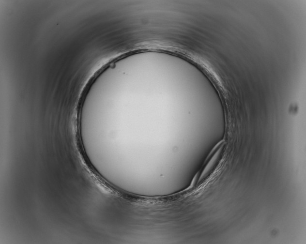 X0000099541040200806061450