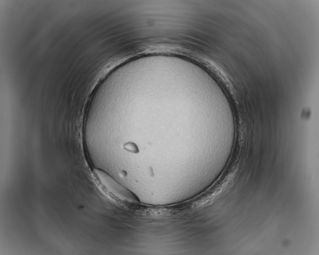 X0000099541041200806061450