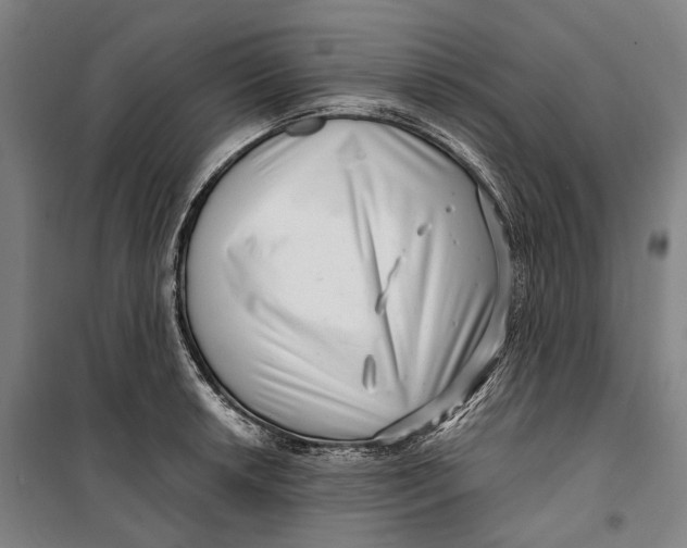 X0000099541042200806061450