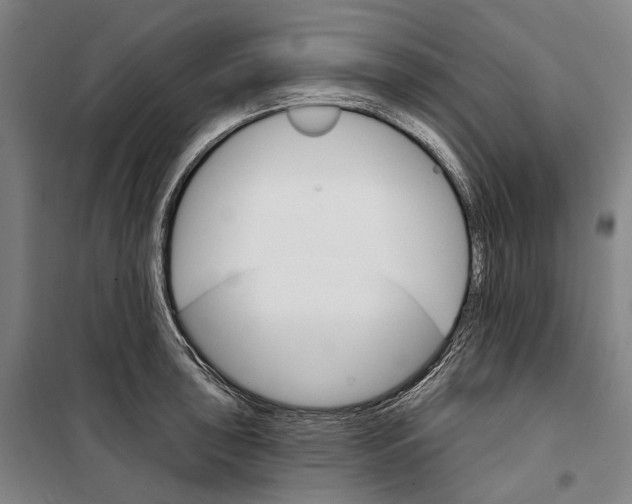 X0000099541043200806061450