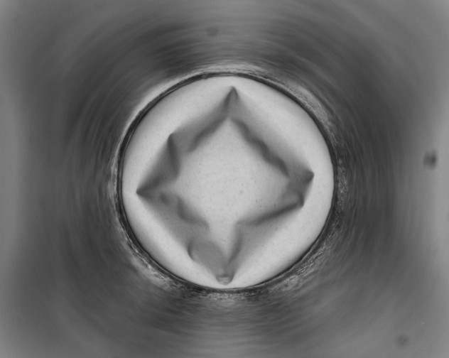 X0000099541044200806061450