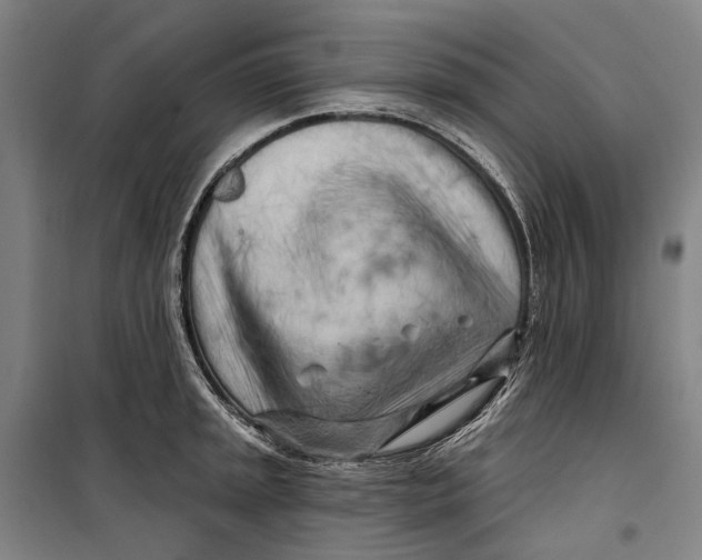 X0000099541045200806061450