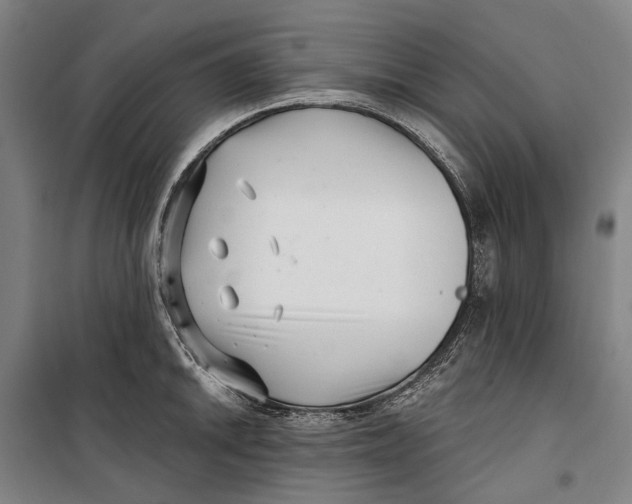 X0000099541046200806061450